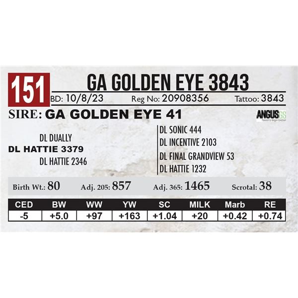 GA Golden Eye 3843