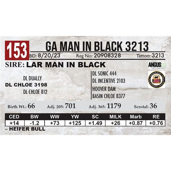 GA Man In Black 3213