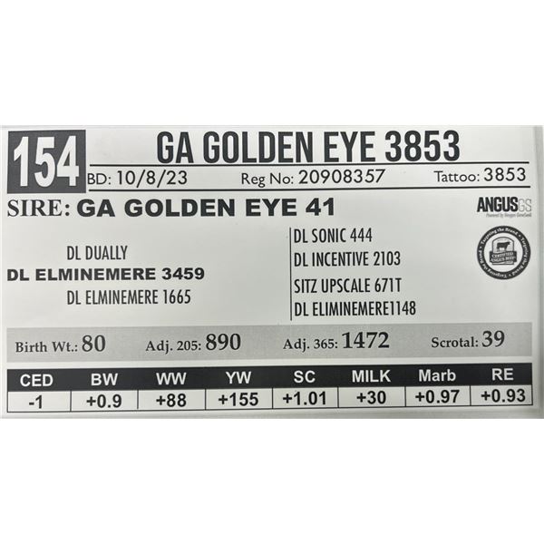 GA Golden Eye 3853