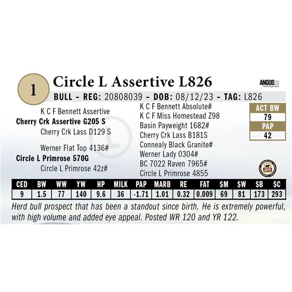 Circle L Assertive L826