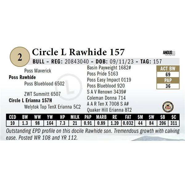 Circle L Rawhide 157
