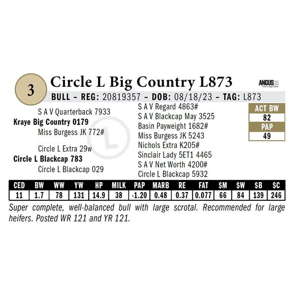 Circle L Big Country L873