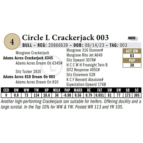 Circle L Crackerjack 003