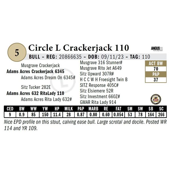 Circle L Crackerjack 110