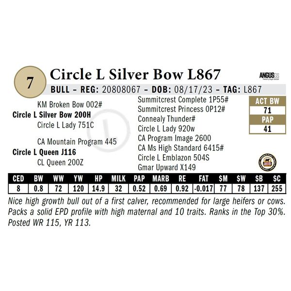 Circle L Silver Bow L867