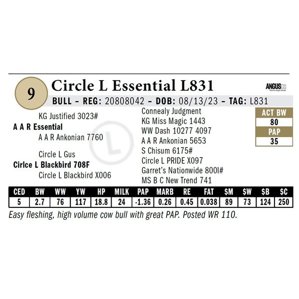 Circle L Essential L831