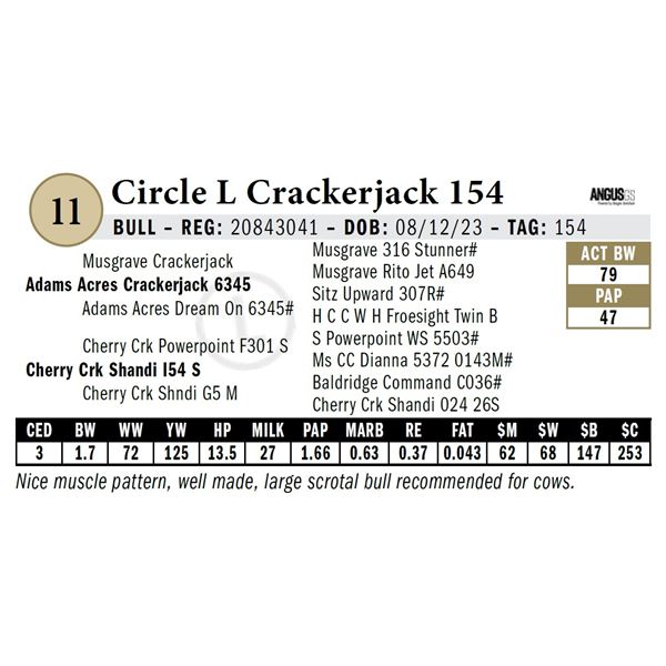 Circle L Crackerjack 154