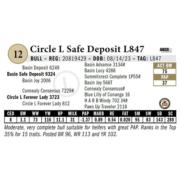 Circle L Safe Deposit L847