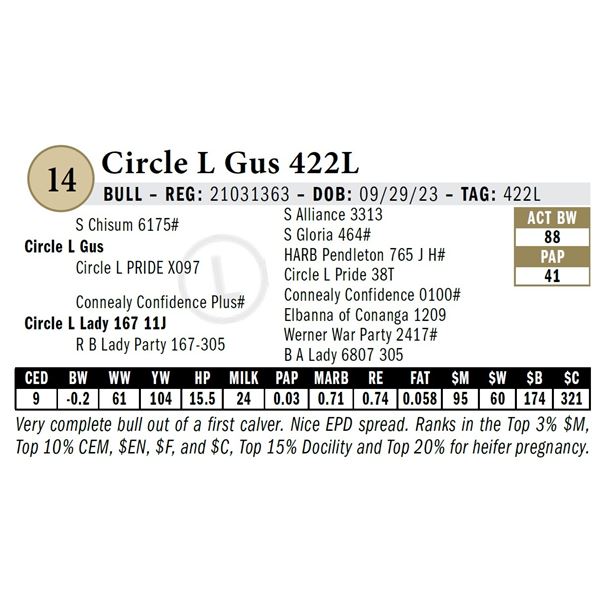 Circle L Gus 422L