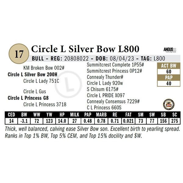 Circle L Silver Bow L800