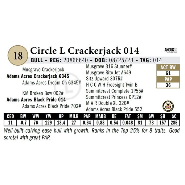 Circle L Crackerjack 014