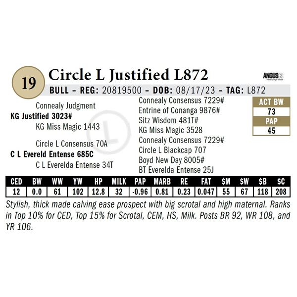 Circle L Justified L872