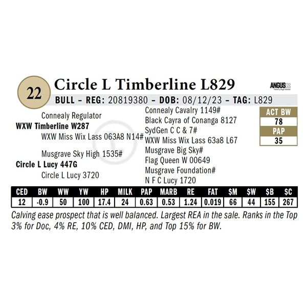 Circle L Timberline L829