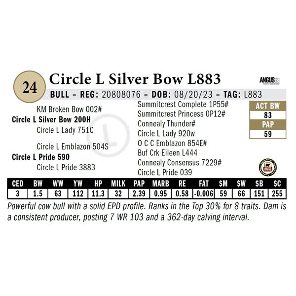 Circle L Silver Bow L883