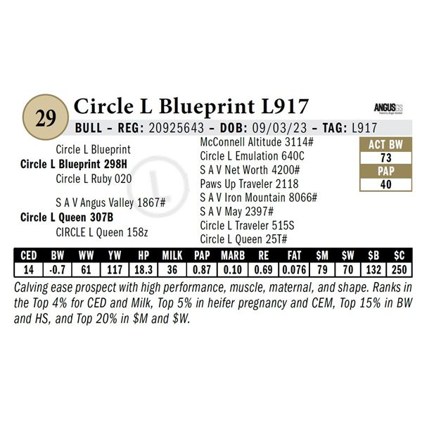 Circle L Blueprint L917