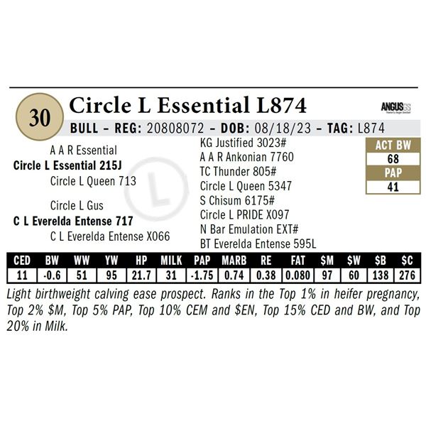 Circle L Essential L874