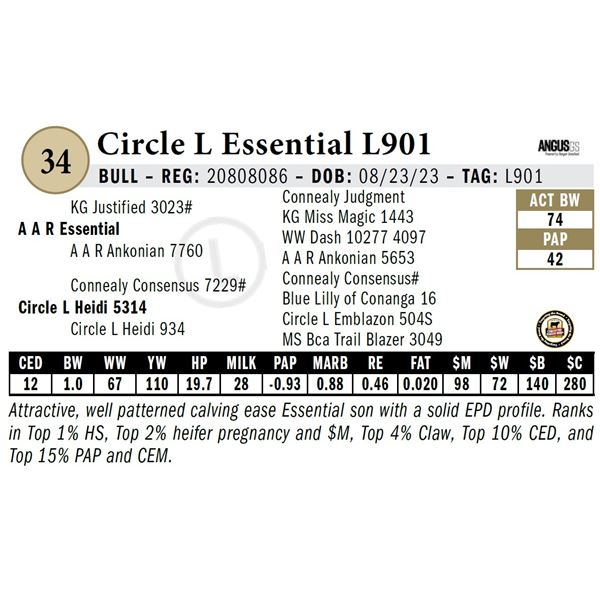Circle L Essential L901
