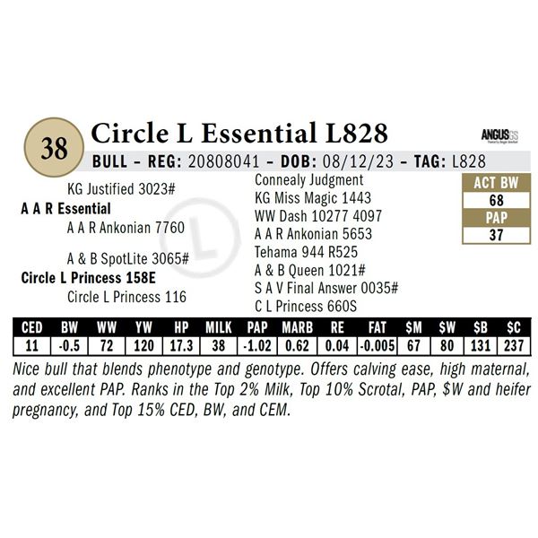 Circle L Essential L828