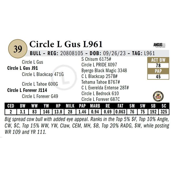Circle L Gus L961