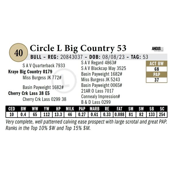 Circle L Big Country 53