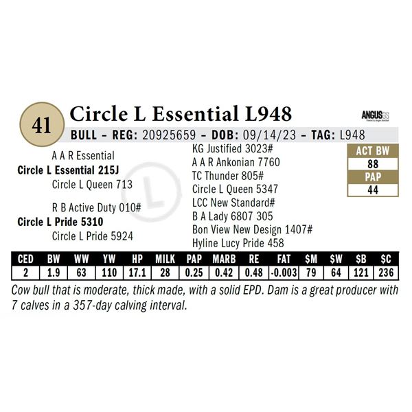 Circle L Essential L948