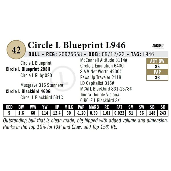 Circle L Blueprint L946
