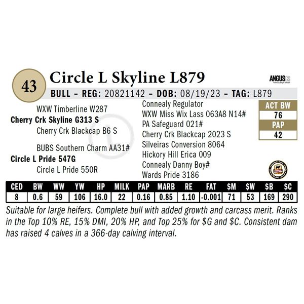 Circle L Skyline L879