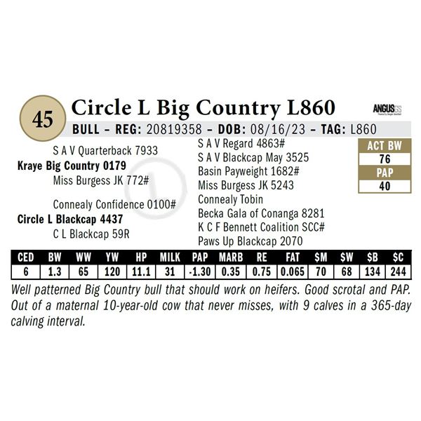 Circle L Big Country L860