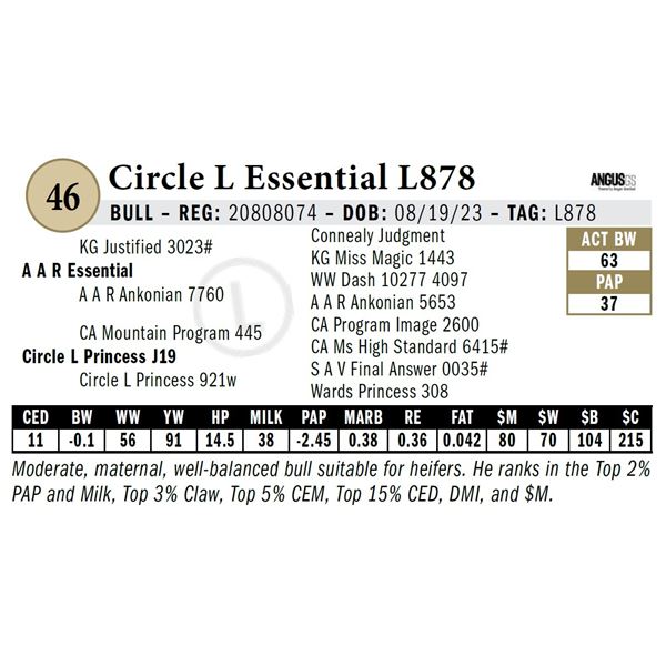 Circle L Essential L878