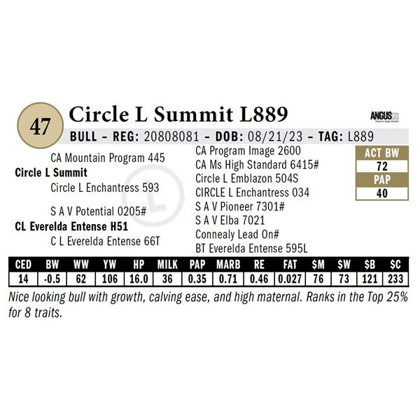 Circle L Summit L889