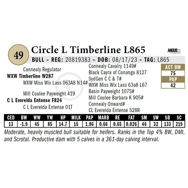 Circle L Timberline L865