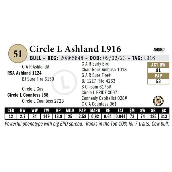 Circle L Ashland L916