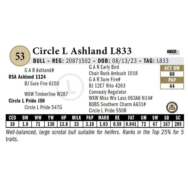 Circle L Ashland L833