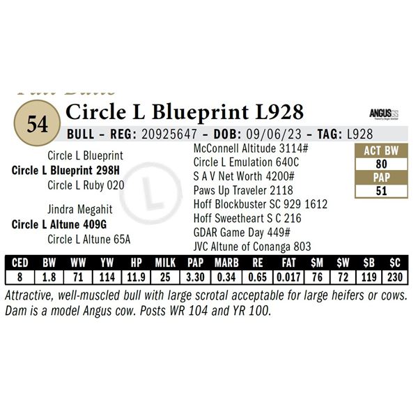 Circle L Blueprint L928
