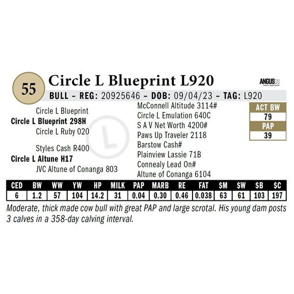 Circle L Blueprint L920