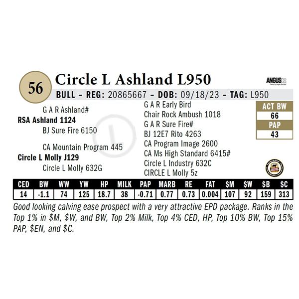 Circle L Ashland L950