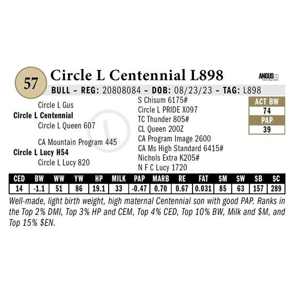 Circle L Centennial L898