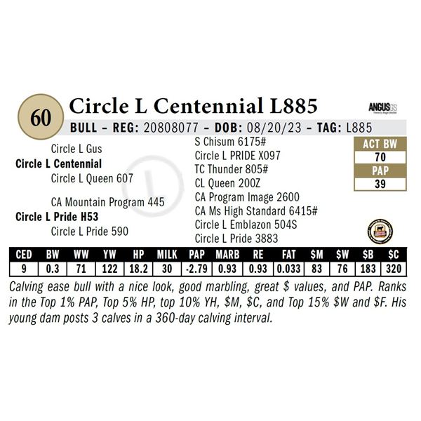 Circle L Centennial L885