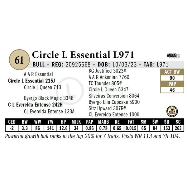 Circle L Essential L971