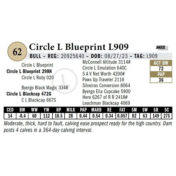 Circle L Blueprint L909