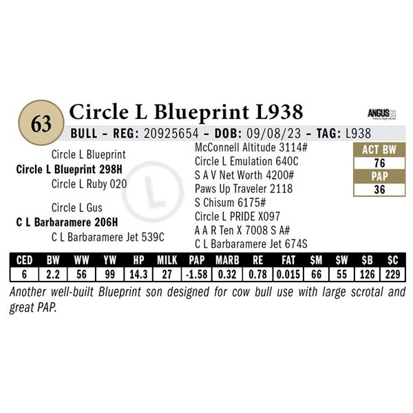 Circle L Blueprint L938