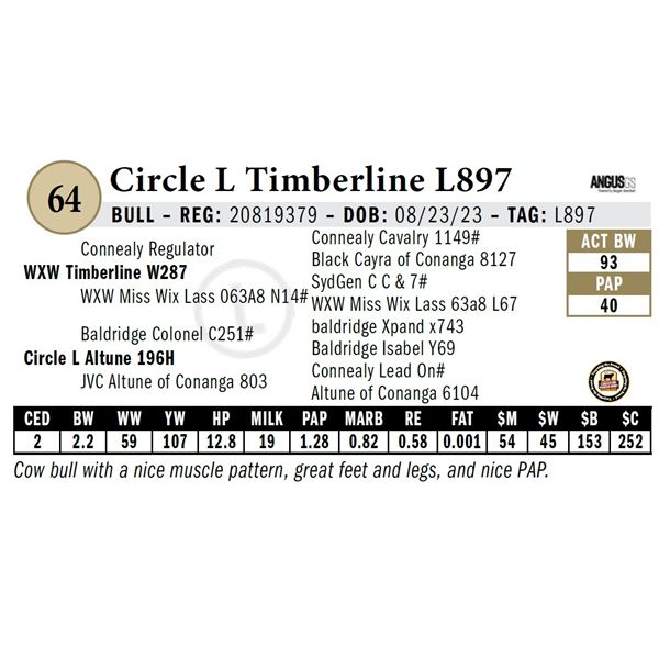 Circle L Timberline L897