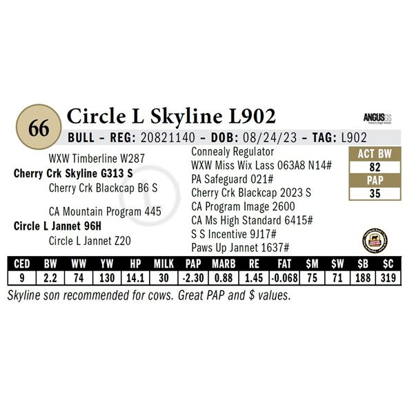 Circle L Skyline L902