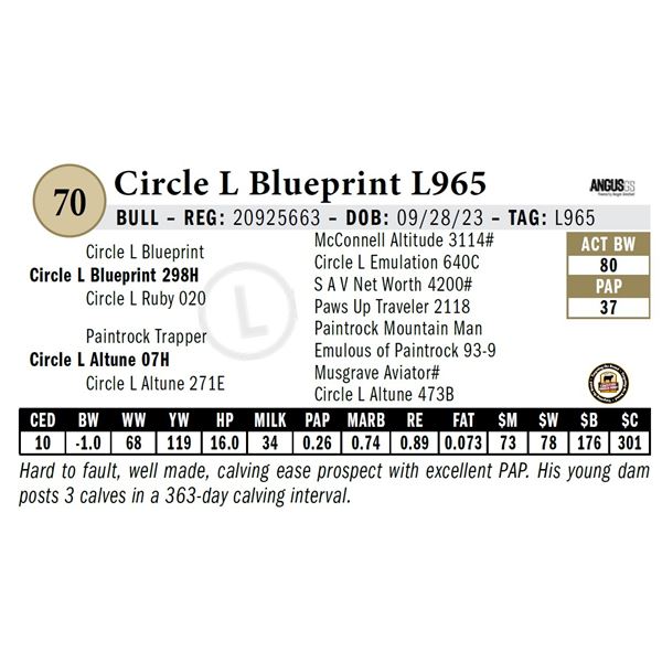 Circle L Blueprint L965