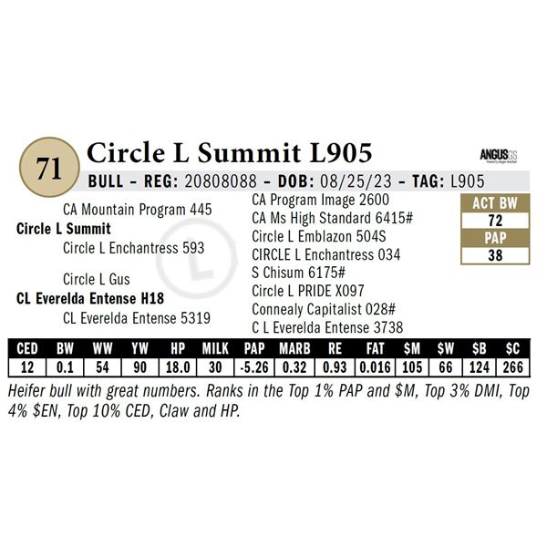 Circle L Summit L905