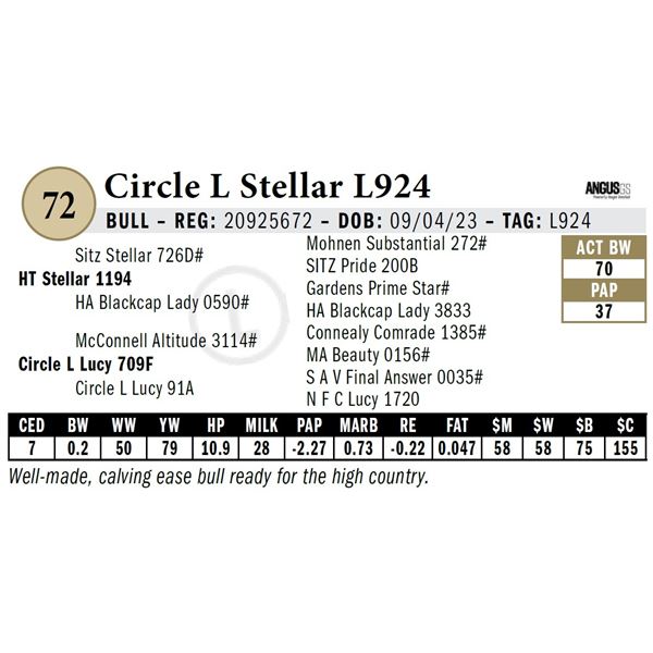 Circle L Stellar L924