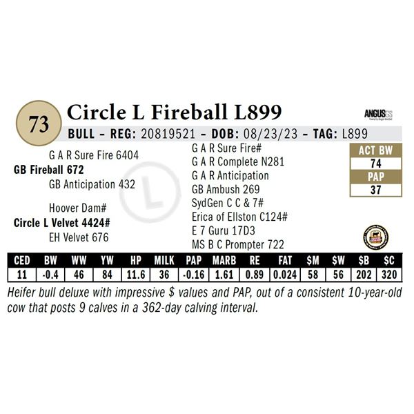 Circle L Fireball L899
