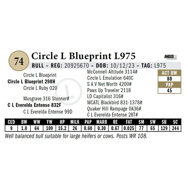 Circle L Blueprint L975