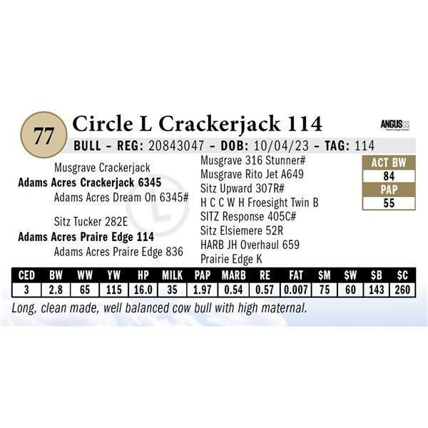 Circle L Crackerjack 114