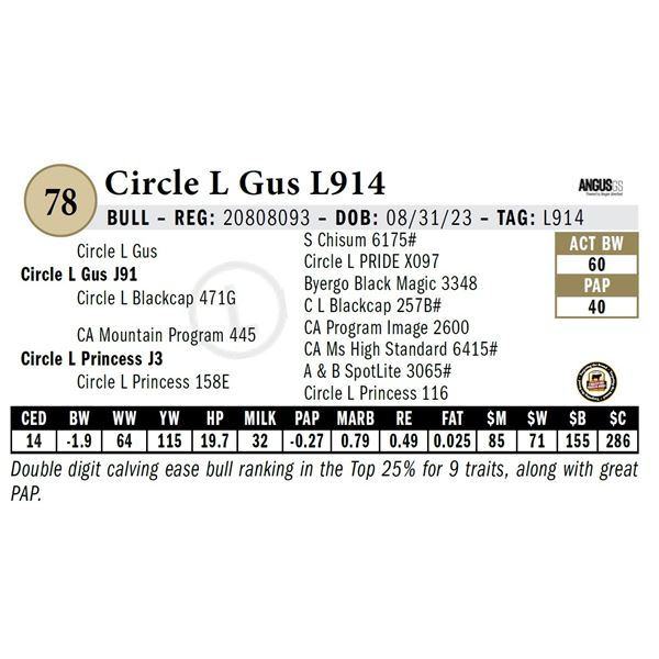 Circle L Gus L914